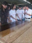 皖江城市带县域地区承接产业转移的对策及思考