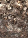 石油污染土壤的微生物强化修复技术实验研究