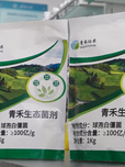 青禾促生防虫生态菌剂研究及产业化开发